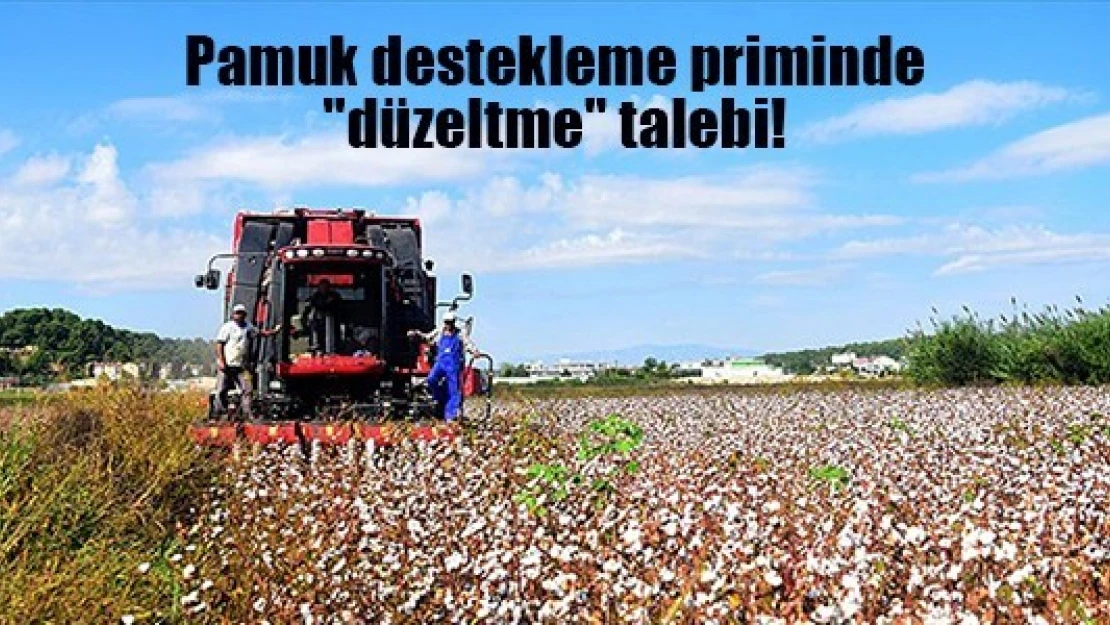 Pamuk destekleme priminde 'düzeltme' talebi!