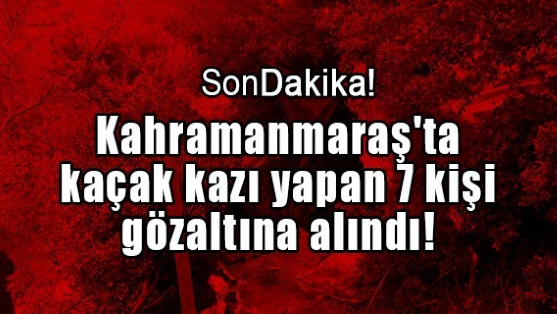 Kahramanmaraş'ta kaçak kazı yapan 7 kişi gözaltına alındı!