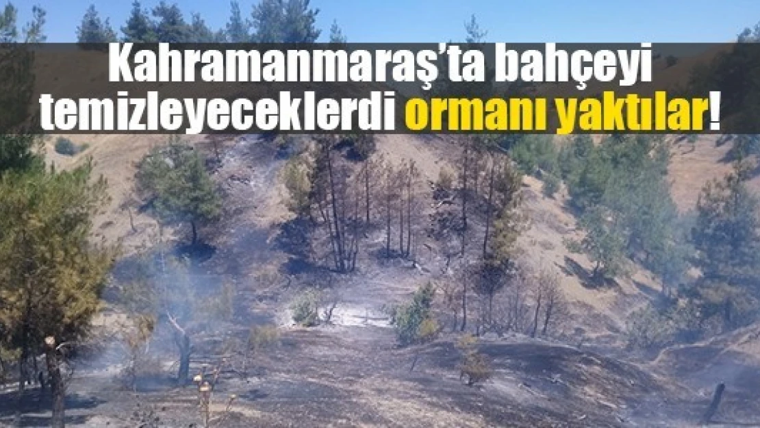 Kahramanmaraş'ta bahçeyi temizleyeceklerdi ormanı yaktılar!