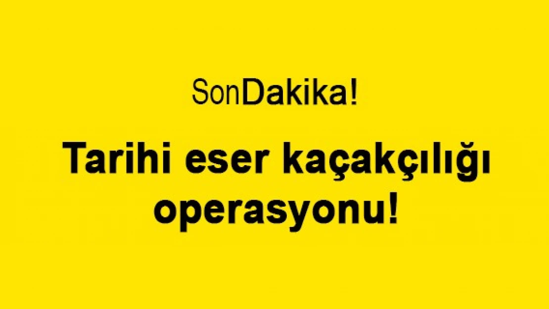 Tarihi eser kaçakçılığı operasyonu!