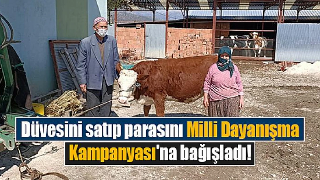 Düvesini satıp parasını Milli Dayanışma Kampanyası'na bağışladı!