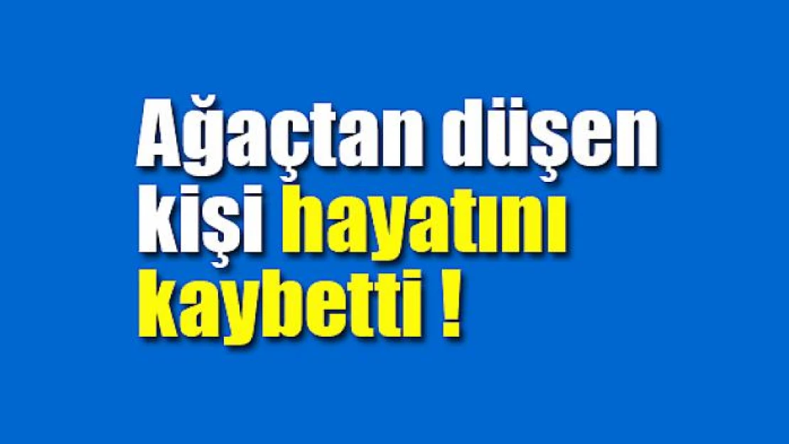 Ağaçtan düşen kişi hayatını kaybetti