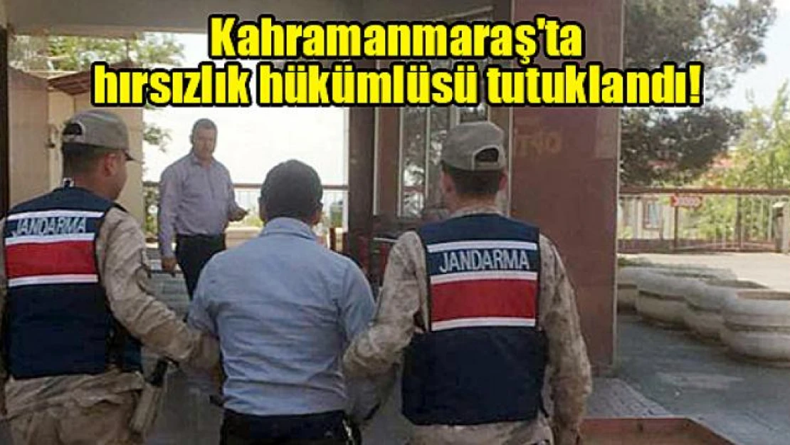 Kahramanmaraş'ta hırsızlık hükümlüsü tutuklandı!