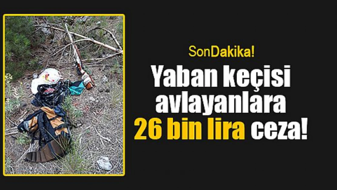 Yaban keçisi avlayanlara 26 bin lira ceza!