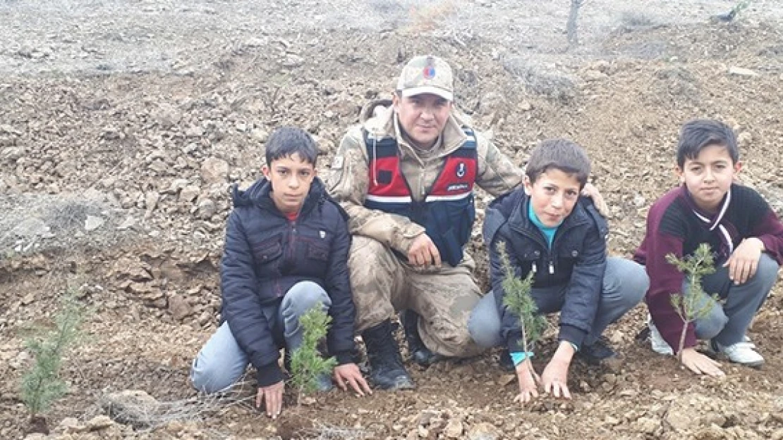 Jandarma ve öğrenciler Ekinözü'nde fidan dikti!