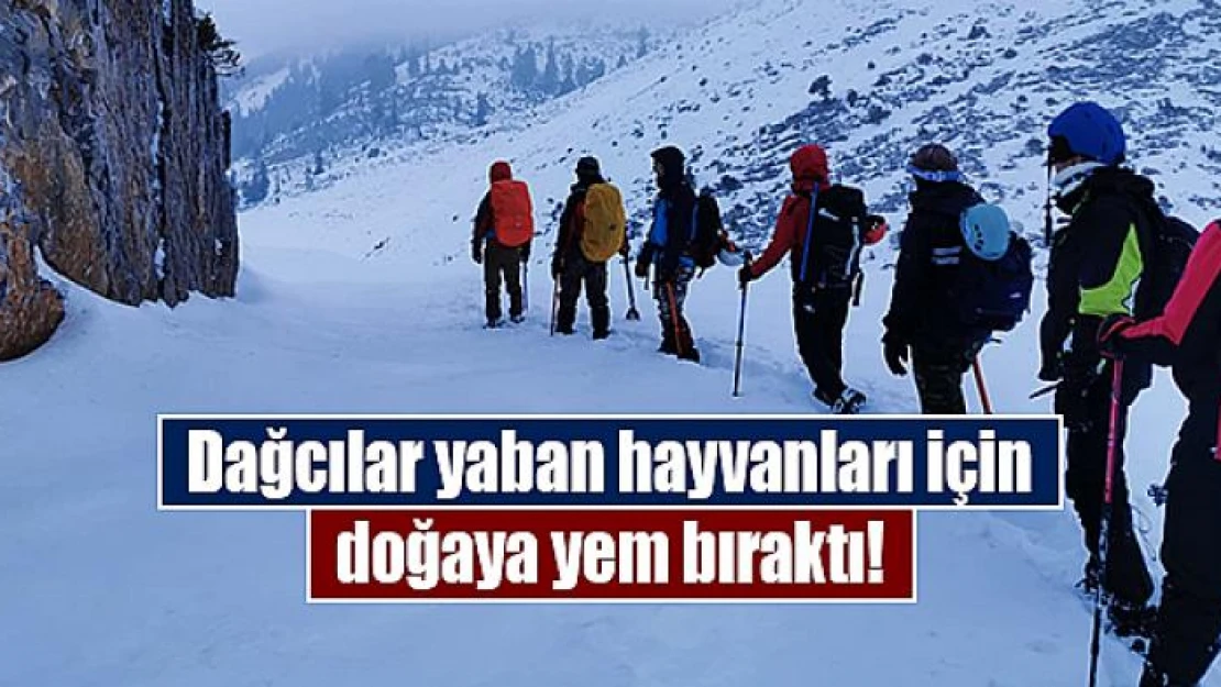 Dağcılar yaban hayvanları için doğaya yem bıraktı!