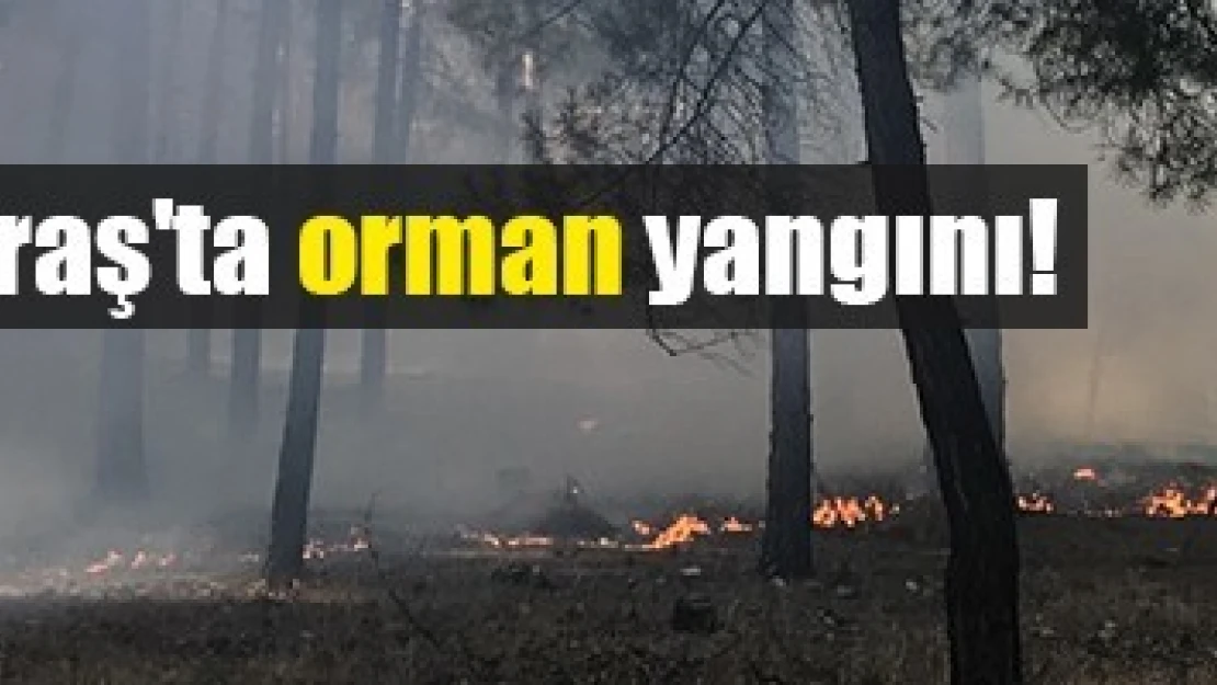 Kahramanmaraş'ta orman yangını!