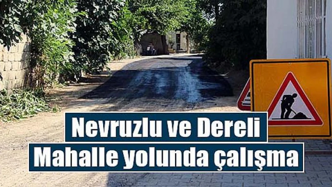 Nevruzlu ve Dereli Mahalle yolunda çalışma