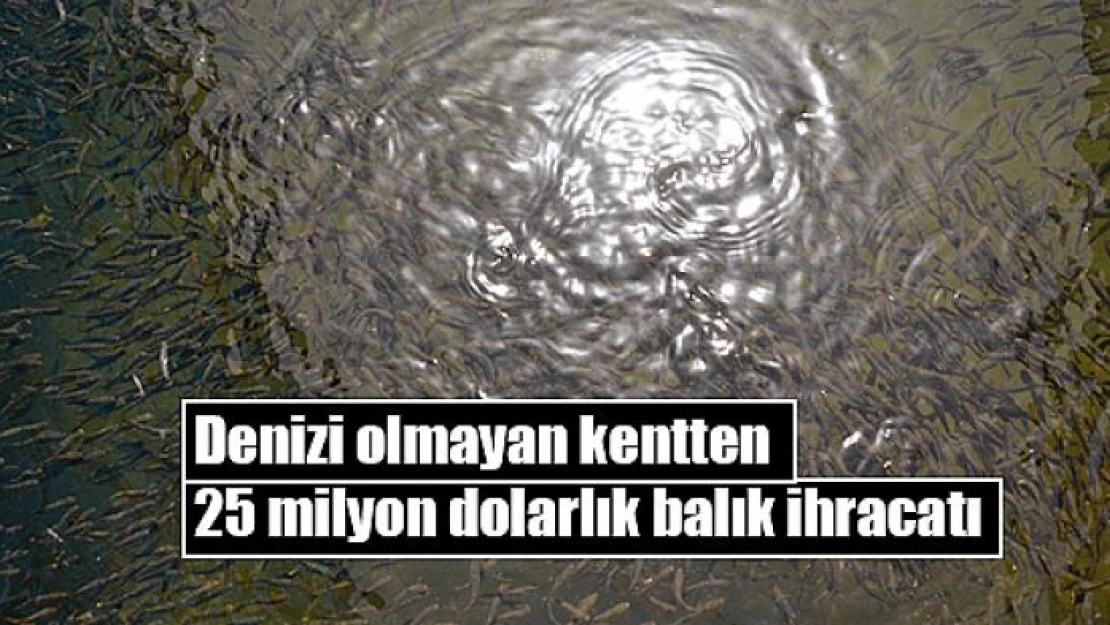 Denizi olmayan kentten 25 milyon dolarlık balık ihracatı