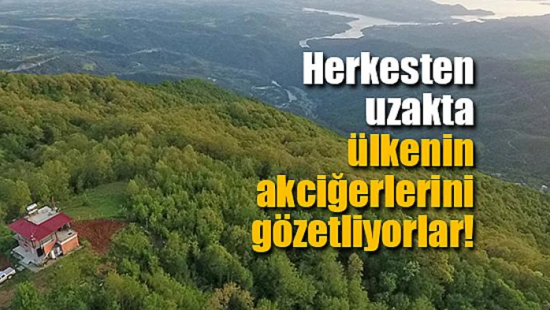 Herkesten uzakta ülkenin akciğerlerini gözetliyorlar