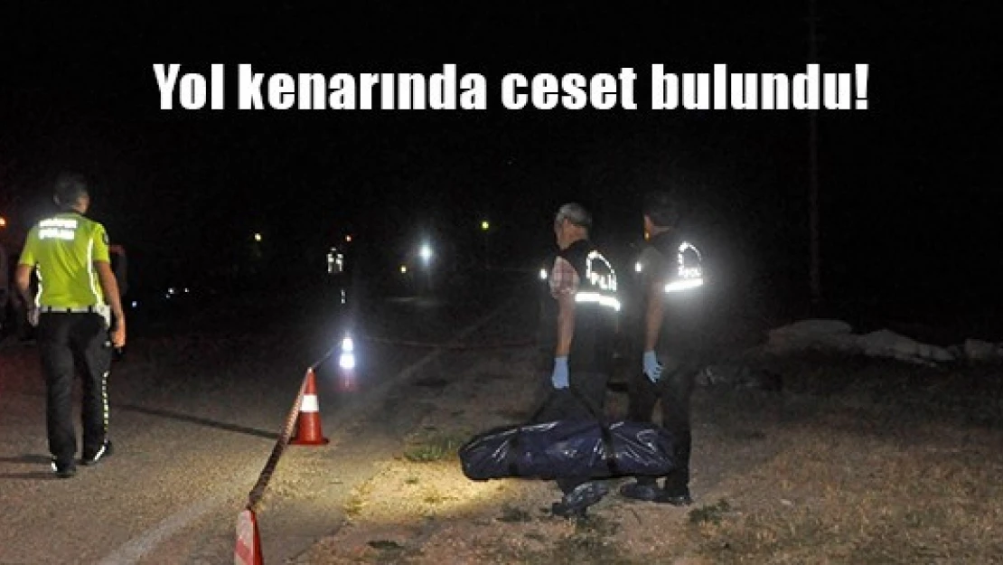 Yol kenarında ceset bulundu!