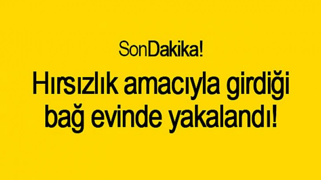 Hırsızlık amacıyla girdiği bağ evinde yakalandı!