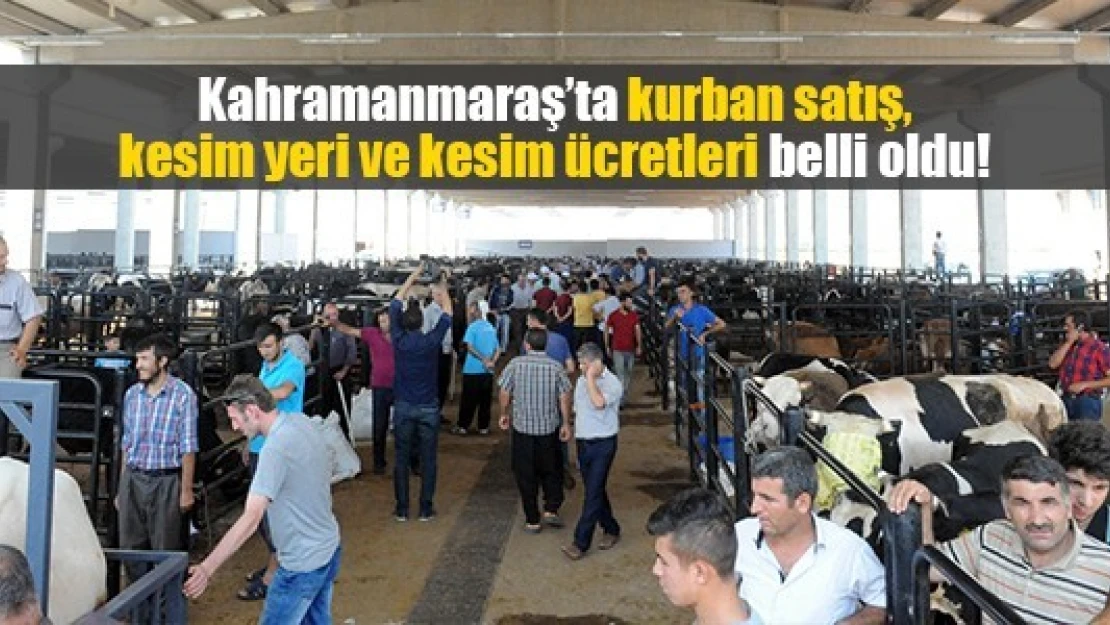 Kahramanmaraş'ta kurban satış, kesim yeri ve kesim ücretleri belli oldu!