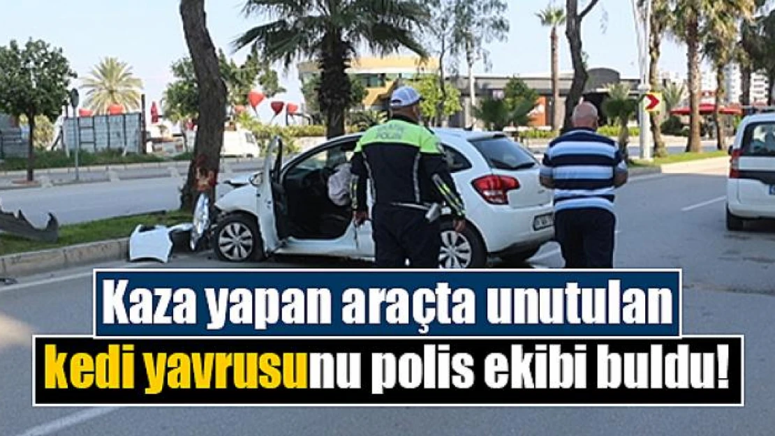 Kaza yapan araçta unutulan kedi yavrusunu polis ekibi buldu!