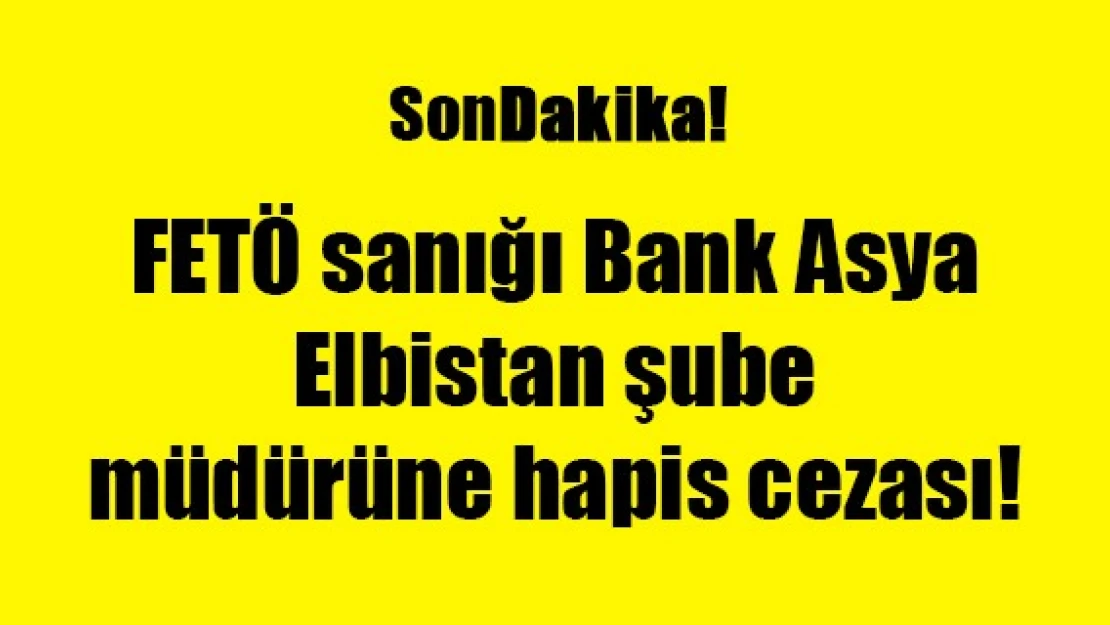 FETÖ sanığı Bank Asya Elbistan şube müdürüne hapis cezası!