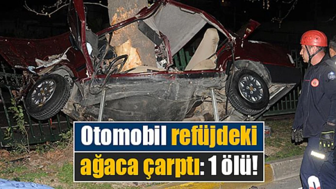 Otomobil refüjdeki ağaca çarptı: 1 ölü!