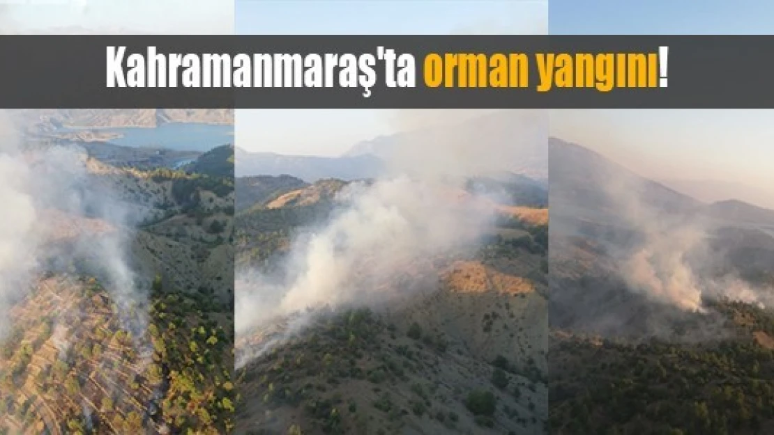 Kahramanmaraş'ta orman yangını!