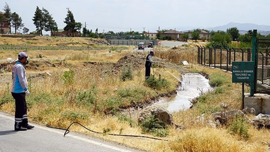 Kahramanmaraş'ta larva mücadelesi sürüyor!