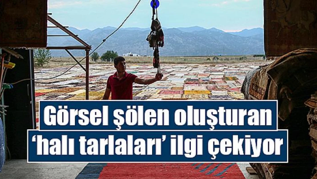 Görsel şölen oluşturan 'halı tarlaları' ilgi çekiyor