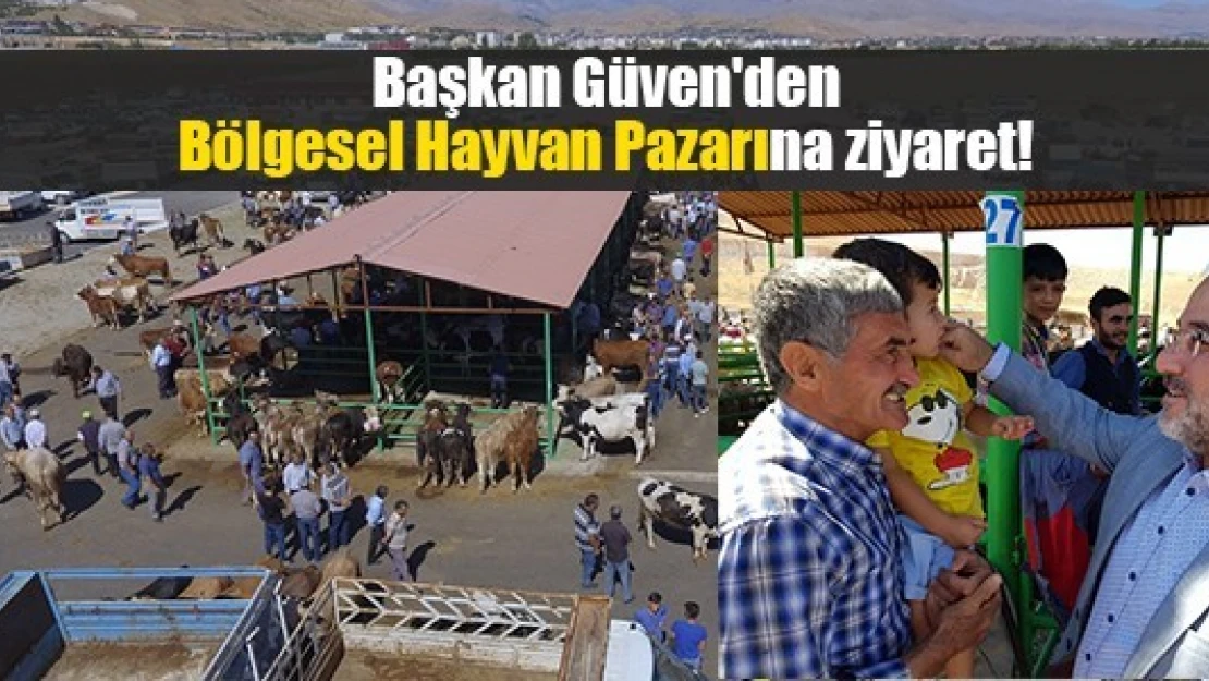 Başkan Güven'den Bölgesel Hayvan Pazarına ziyaret!