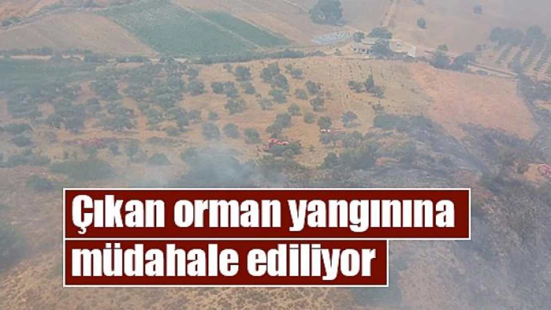 Çıkan orman yangınına müdahale ediliyor