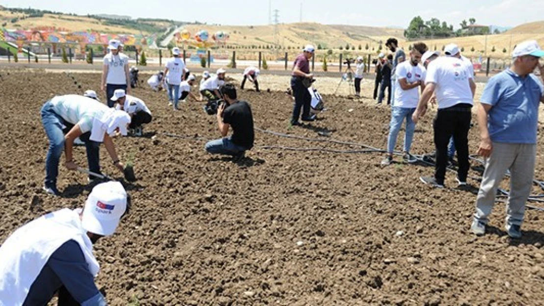 Başkan Mahçiçek, bir ilke daha imza attı!