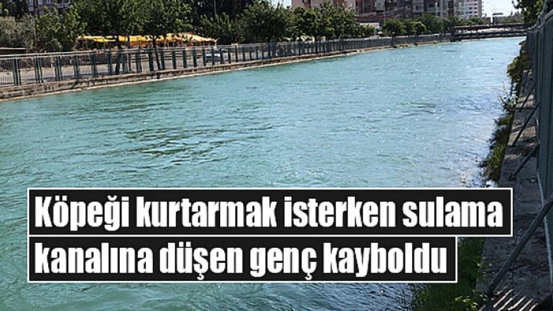 Köpeği kurtarmak isterken sulama kanalına düşen genç kayboldu