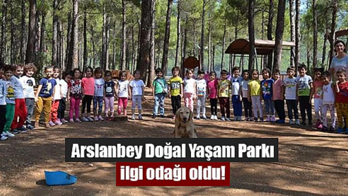 Arslanbey Doğal Yaşam Parkı ilgi odağı oldu!