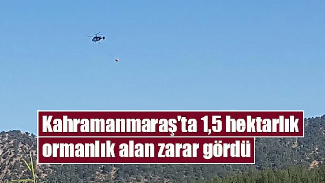 Kahramanmaraş'ta 1,5 hektarlık ormanlık alan zarar gördü