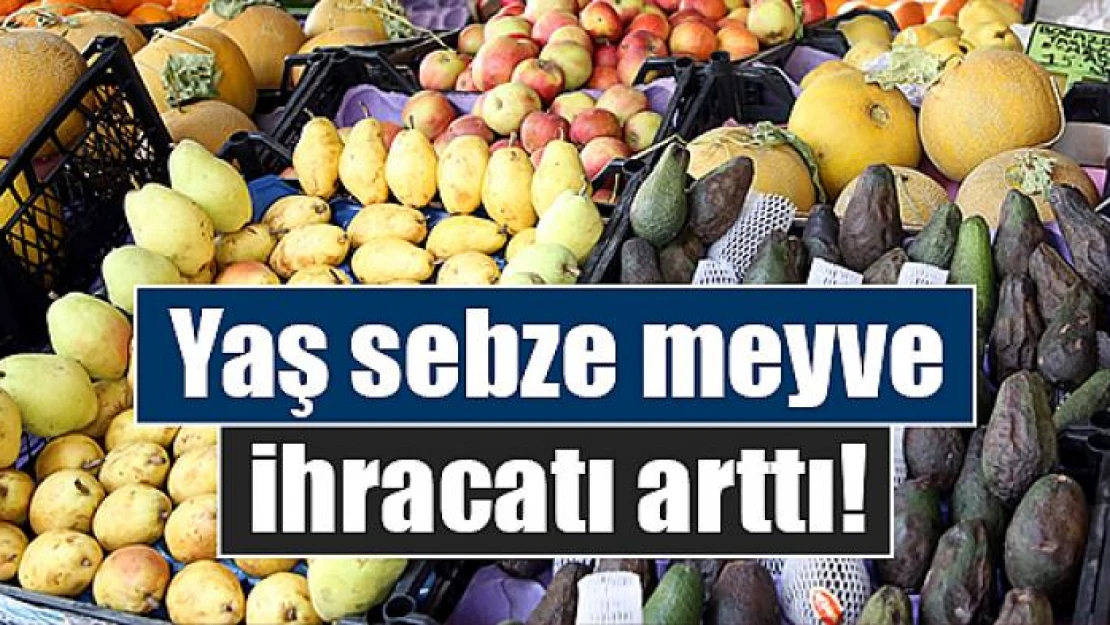 Yaş sebze meyve ihracatı arttı