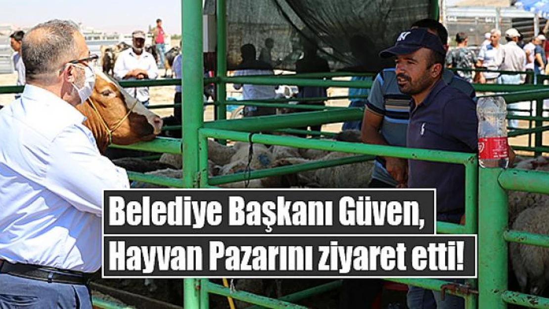 Başkan Güven, Hayvan Pazarını ziyaret etti