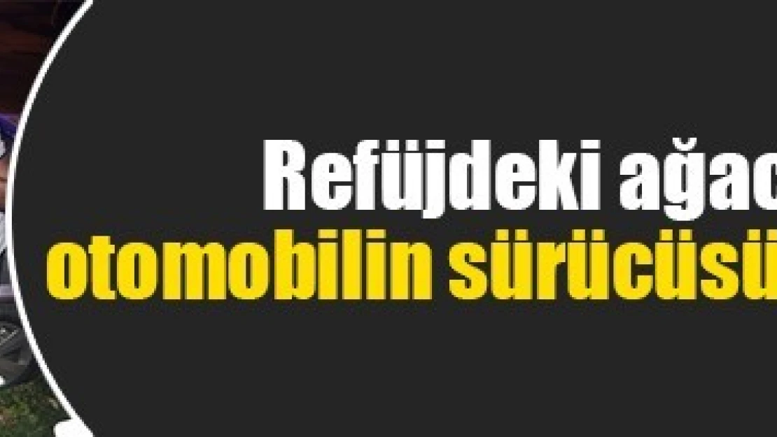 Refüjdeki ağaca çarpan otomobilin sürücüsü ağır yaralandı!