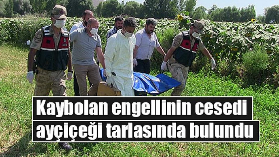 Kaybolan engellinin cesedi ayçiçeği tarlasında bulundu