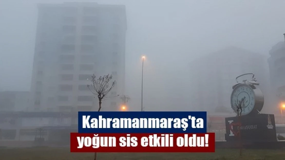 Kahramanmaraş'ta yoğun sis etkili oldu!