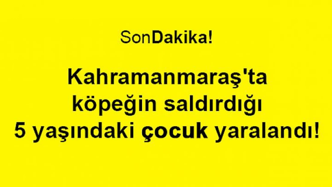 Kahramanmaraş'ta köpeğin saldırdığı 5 yaşındaki çocuk yaralandı!