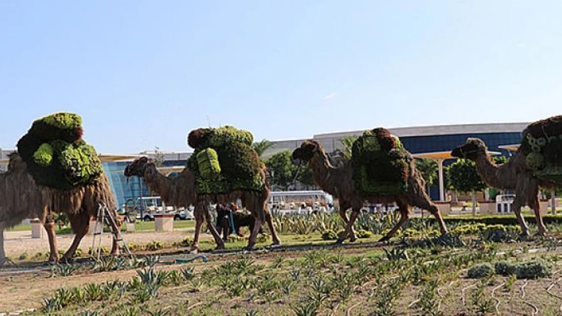 'EXPO 2016'ya sahip çıkın' çağrısı!