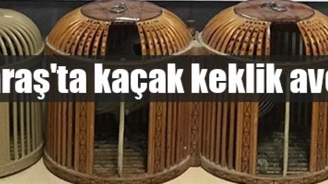 Kahramanmaraş'ta kaçak keklik avcılarına ceza!