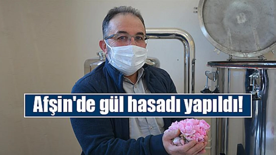 Afşin'de gül hasadı yapıldı