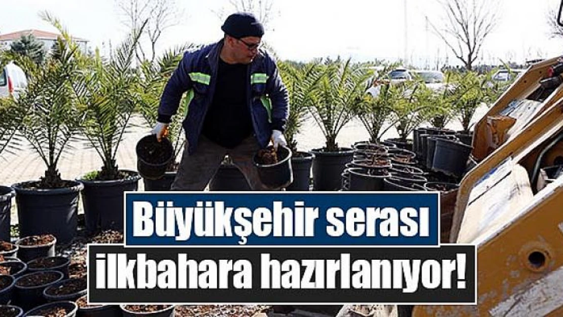 Büyükşehir serası ilkbahara hazırlanıyor!