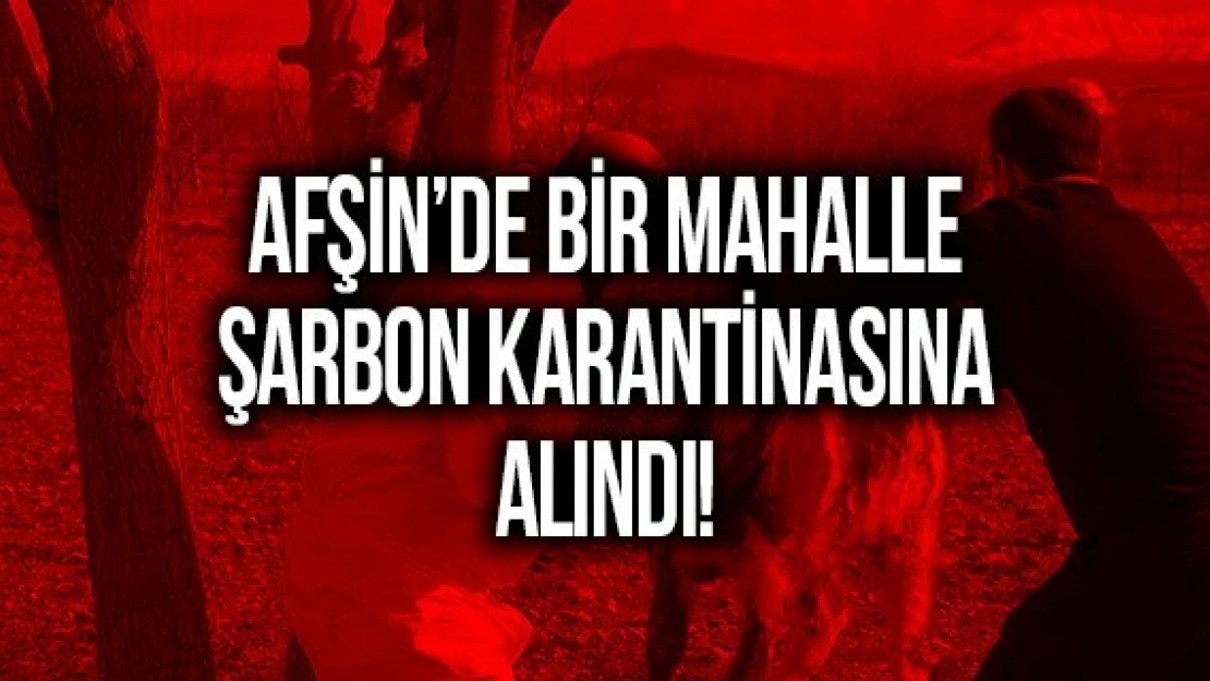 Afşin'de bir mahalle şarbon karantinasına alındı!