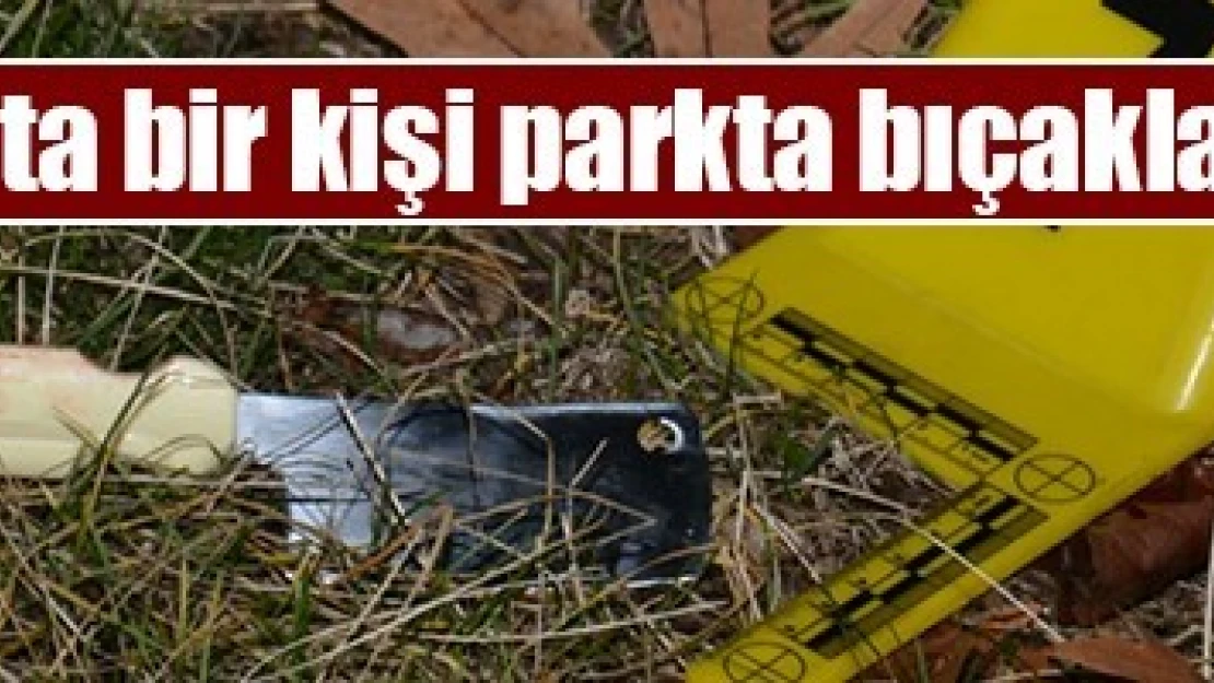 Kahramanmaraş'ta bir kişi parkta bıçaklanarak öldürüldü!