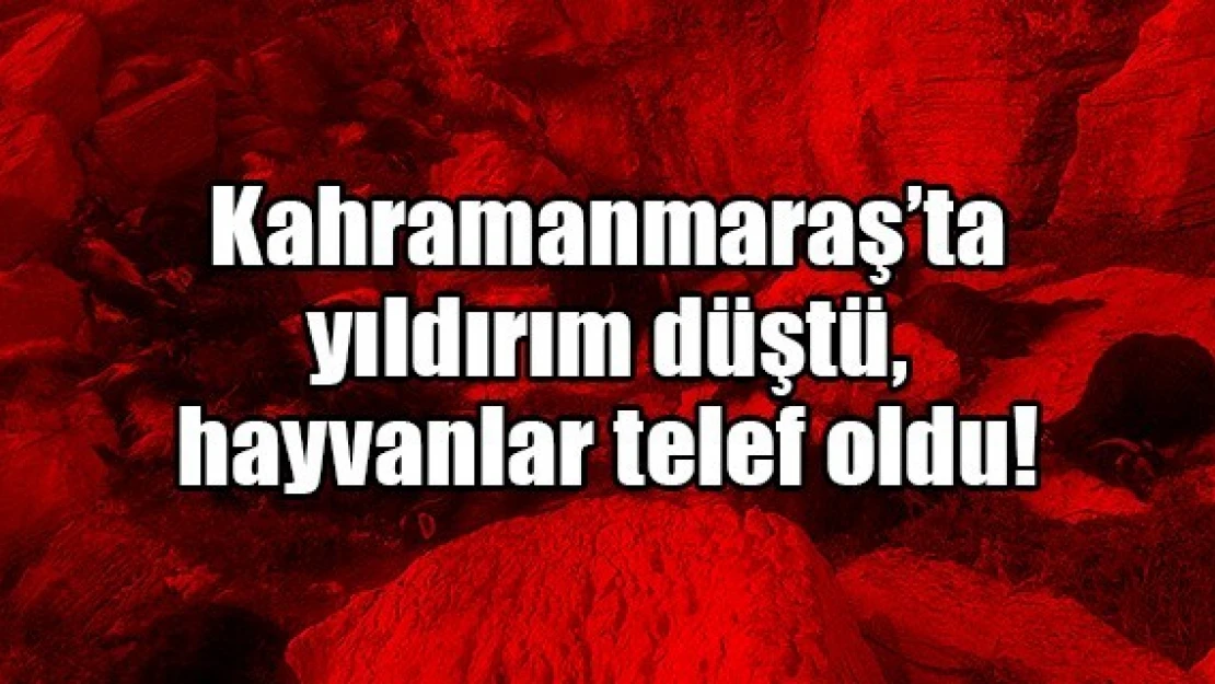 Kahramanmaraş'ta yıldırım düştü, hayvanlar telef oldu!