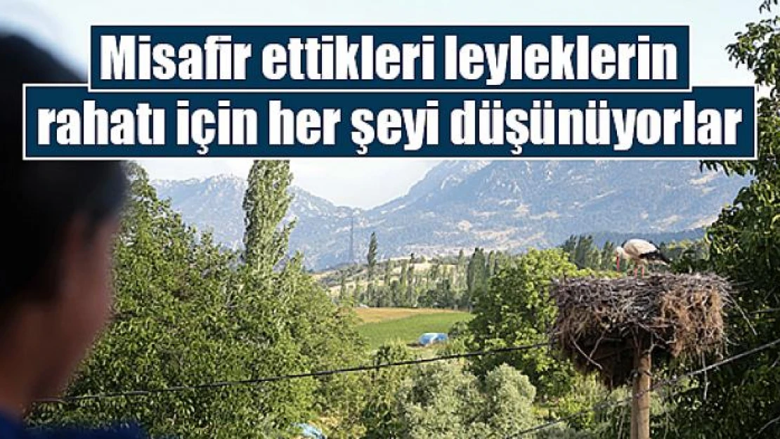 Misafir ettikleri leyleklerin rahatı için her şeyi düşünüyorlar