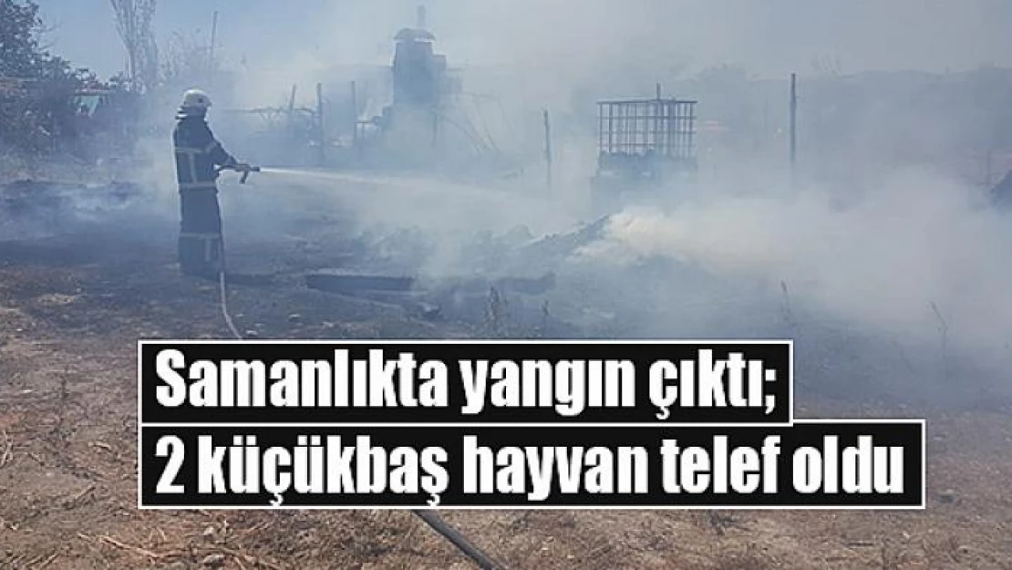 Samanlıkta yangın çıktı 2 küçükbaş hayvan telef oldu