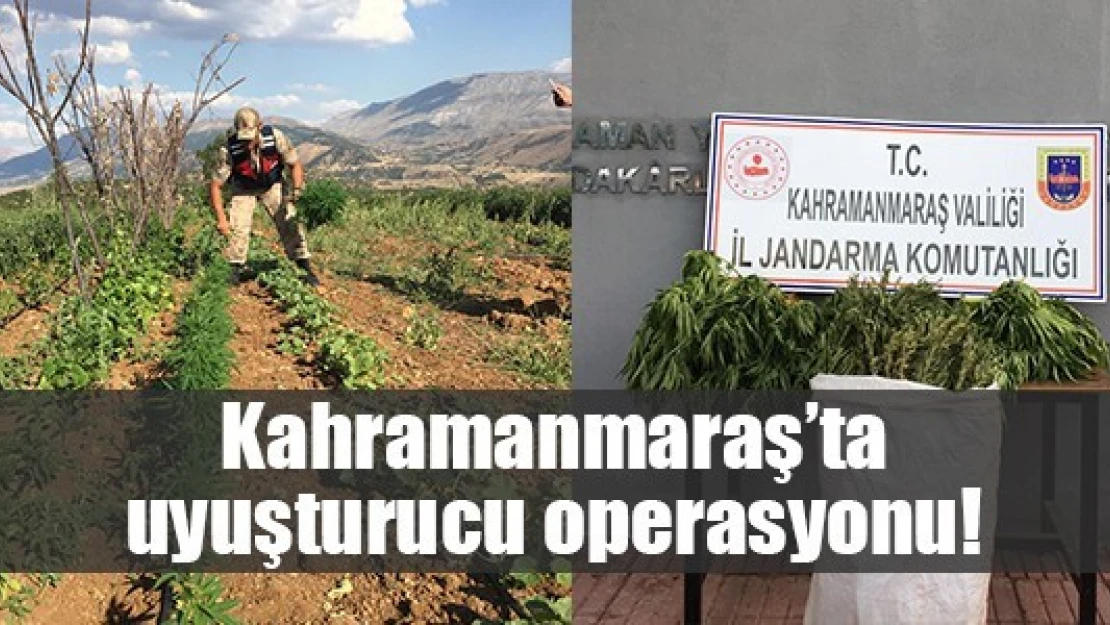 Kahramanmaraş'ta uyuşturucu operasyonu!