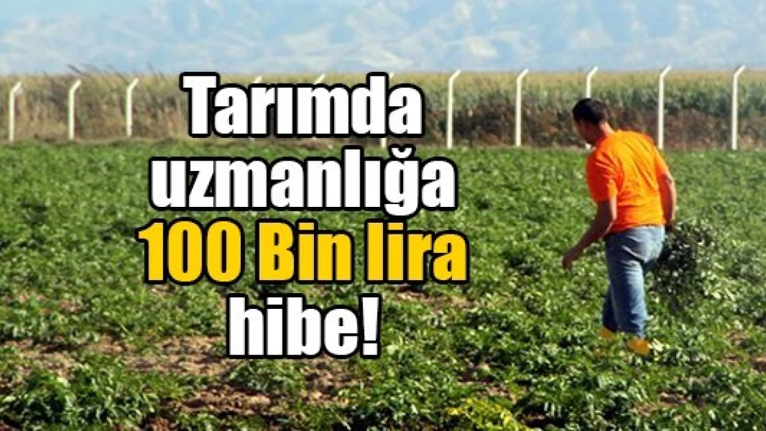 Tarımda uzmanlığa 100 Bin lira hibe!