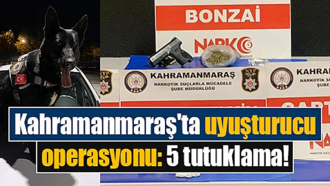 Kahramanmaraş'ta uyuşturucu operasyonu: 5 tutuklama