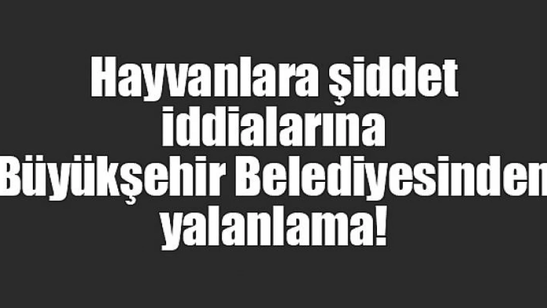 Hayvanlara şiddet iddialarına Büyükşehir Belediyesinden yalanlama