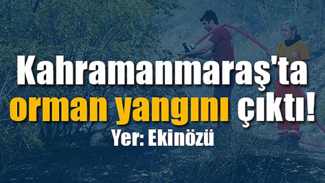 Kahramanmaraş'ta orman yangını çıktı