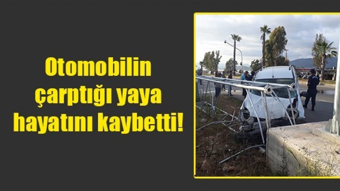 Otomobilin çarptığı yaya hayatını kaybetti!